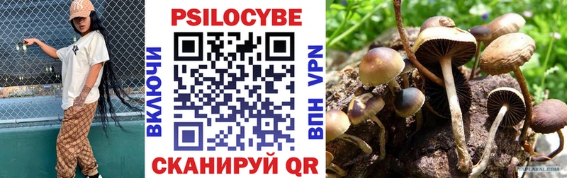 Галлюциногенные грибы GOLDEN TEACHER  kraken зеркало  Похвистнево  где можно купить  