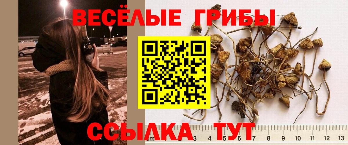 купить   Псилоцибиновые грибы мухоморы  Вход с VPN  Похвистнево 